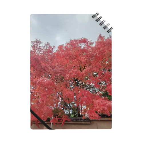 超紅葉 ノート