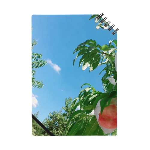 夏の思い出 Notebook