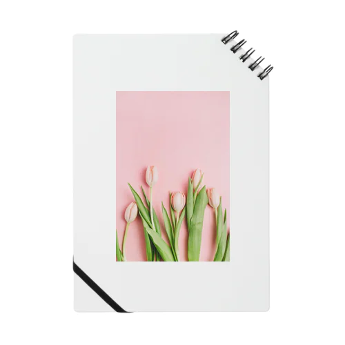 tulip Notebook