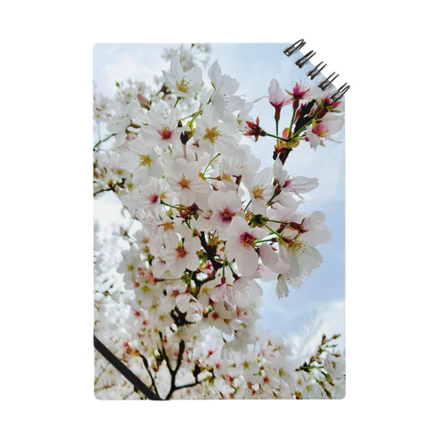 桜 Notebook