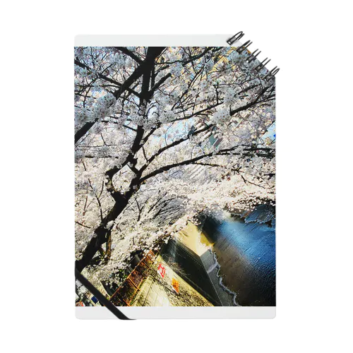 桜 Notebook