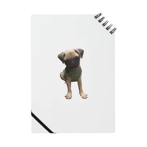 pug🐶パグ Notebook