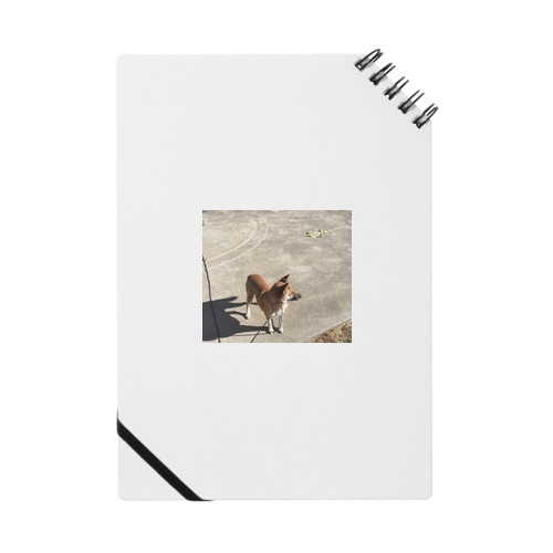 お犬様と白菜 Notebook