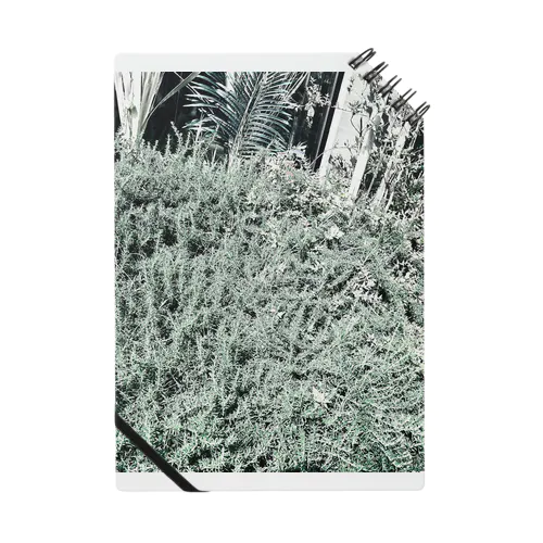 plants Notebook