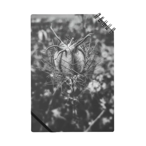 Wild  flower Notebook