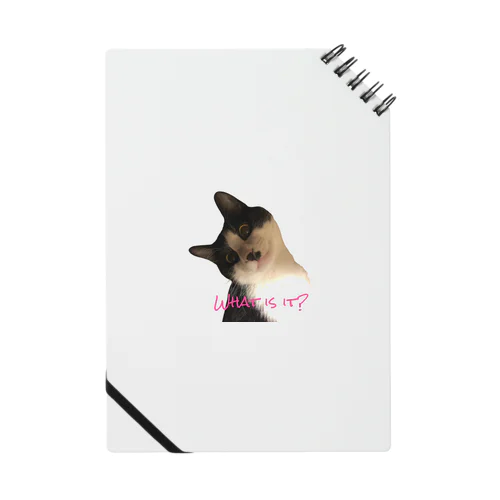 My cat R Notebook