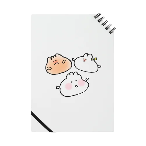 ぱー・おー・ずー Notebook