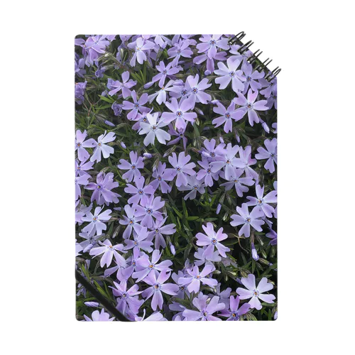 なんか紫の花 ノート