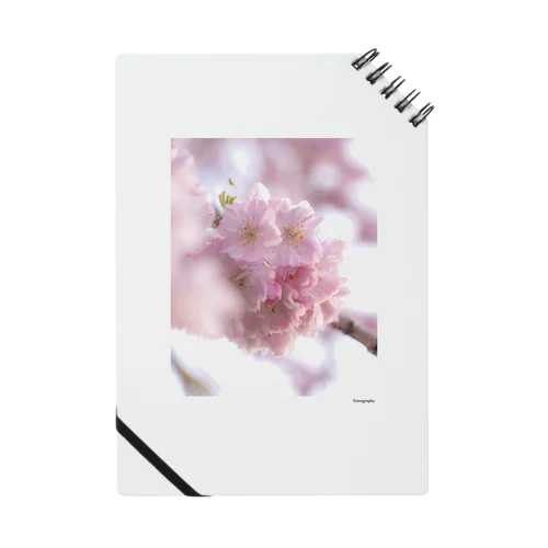 SAKURA 1 Notebook