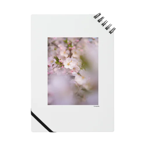 SAKURA 2 Notebook