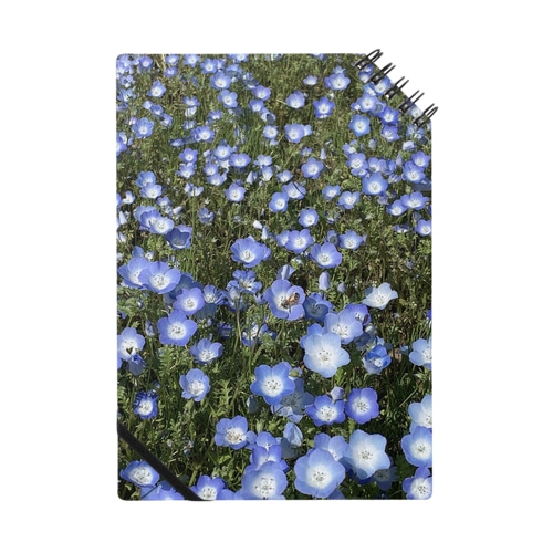 ネモフィラ畑の蜂さん Notebook