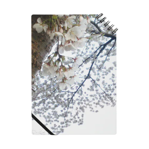 白い桜 Notebook