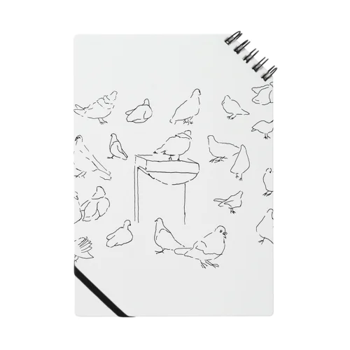 水飲み場の鳩 ノート