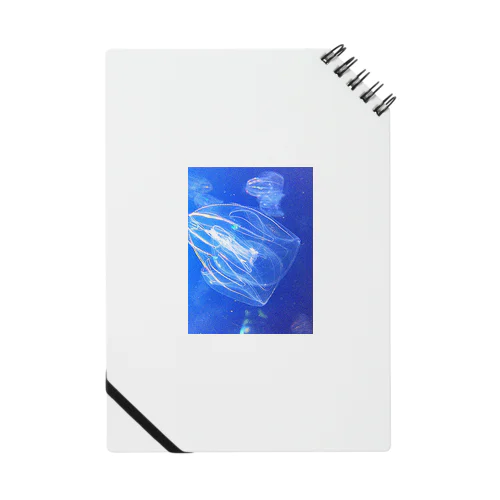 jerryfish Notebook