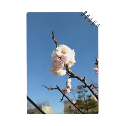 世界の風景:Blooming Notebook