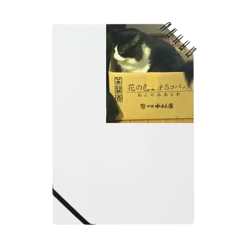 あの人気ハチワレ猫あるあるシリーズ Notebook