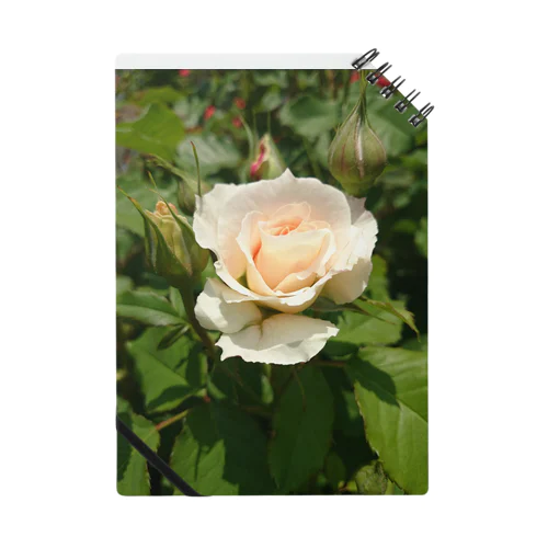 薔薇Ⅰ Notebook
