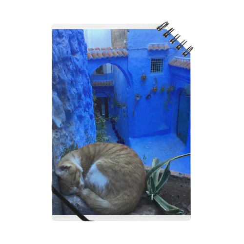 青の街モロッコシャウエンの猫 ノート