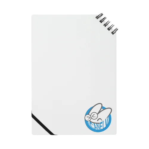 ICANFLY Notebook