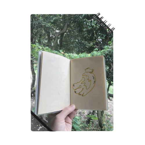 🍌 Notebook