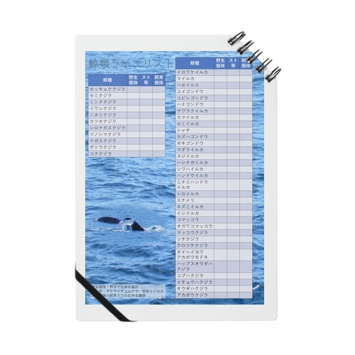 鯨類ライフリスト Notebook