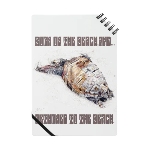ウミガメ：浜に生まれ、浜に還る ノート