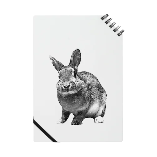 ミニウサギのむぎ Notebook