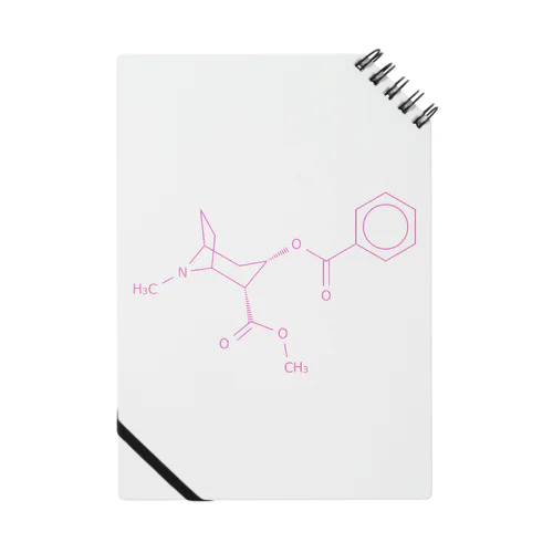 コカインの分子構造 Notebook