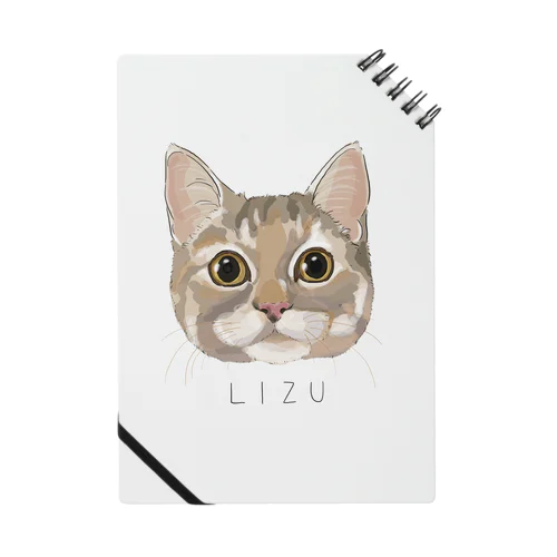 lizu Notebook