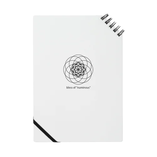 bless of "numinous" Notebook