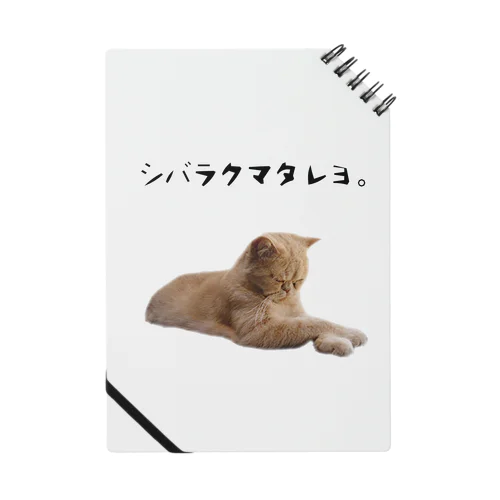 シバラクマタレヨ。 Notebook