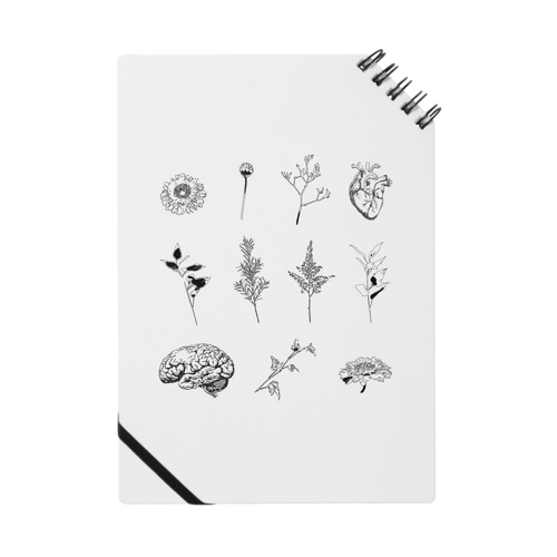 蔓延B Notebook