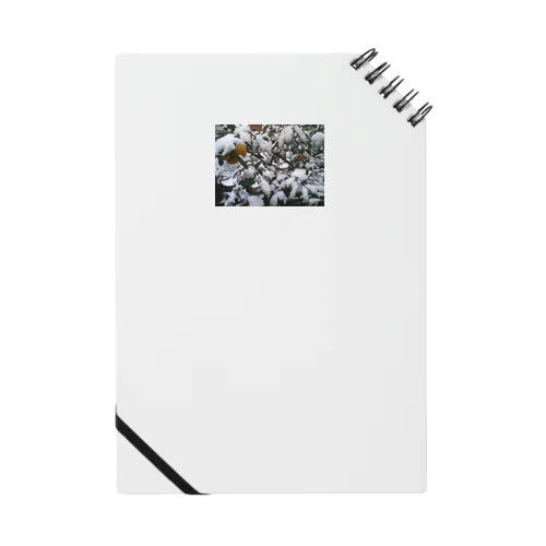 柚と雪 Notebook