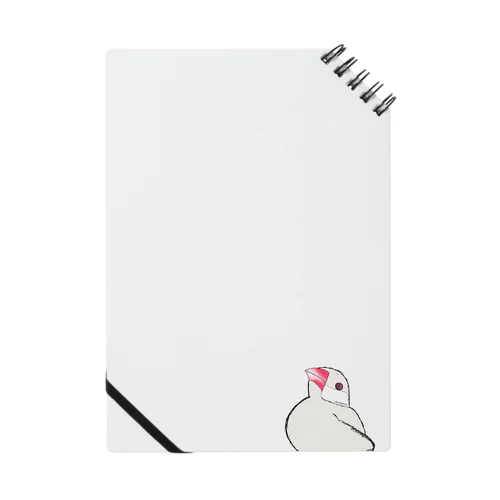 java sparrow Notebook