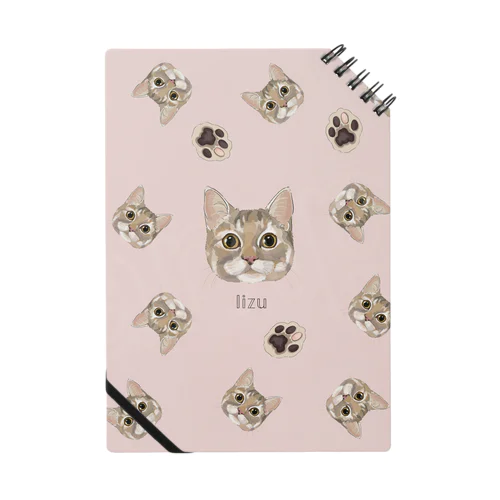 lizu Notebook