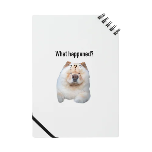 What happened ? Notebook