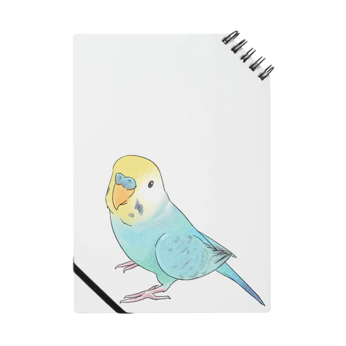 見上げるセキセイインコちゃん【まめるりはことり】 Notebook