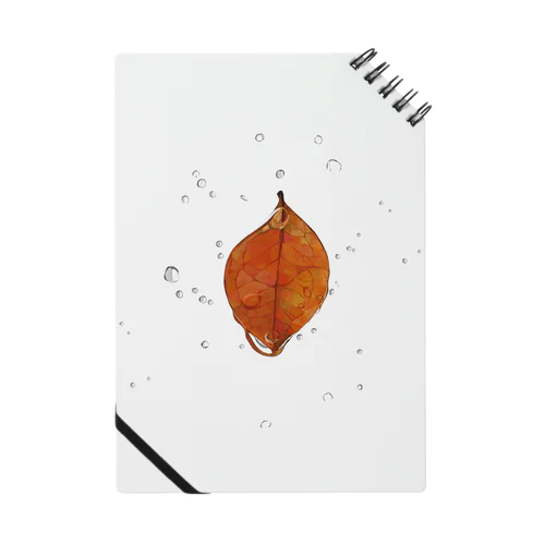 落ち葉と雫 Notebook