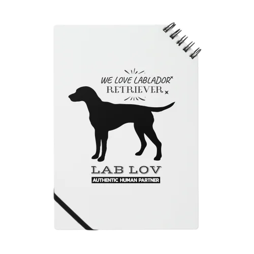 LAB LOV Notebook