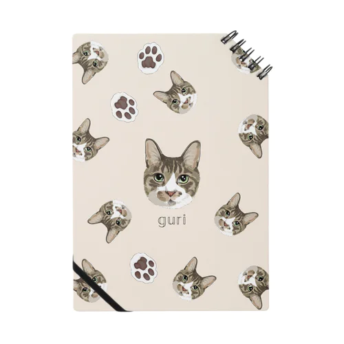 GURI Notebook