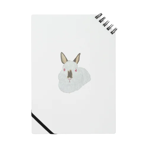 うさぎさん🐰ヒマラヤン Notebook