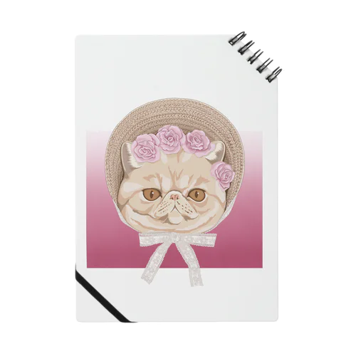 Exotic shorthair×ボンネット帽 Notebook