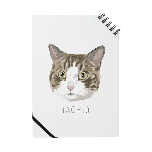 hachio Notebook