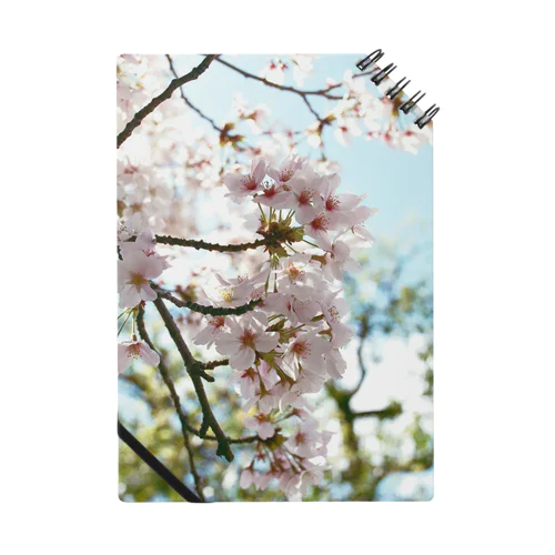 sakura_pink Notebook