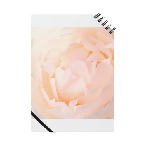 Peony 2 Notebook