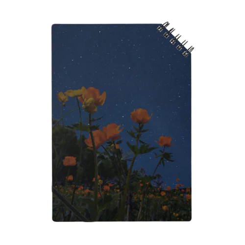 夜に咲く Notebook
