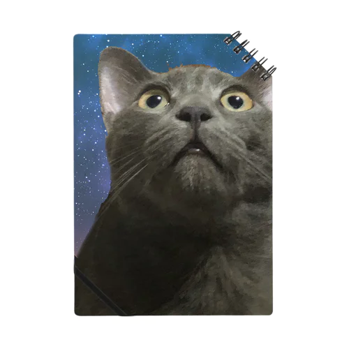 灰色なびっくりした猫 Notebook