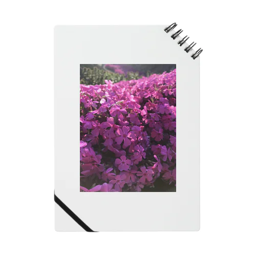 pink world Notebook