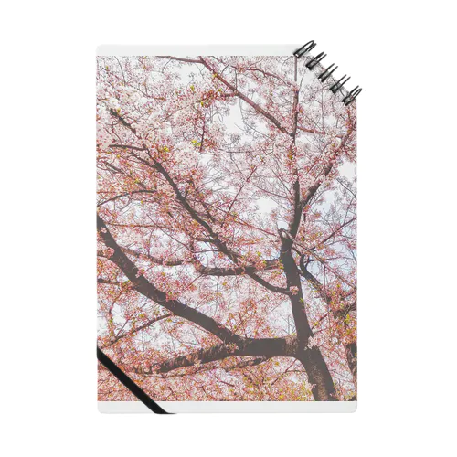 桜咲く Notebook