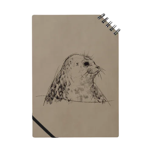 Ringed seal Notebook